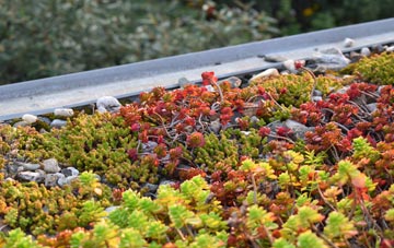 the cost of Stirton green roof installation