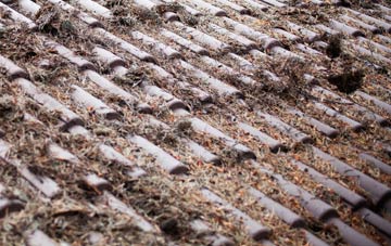 Stirton roof cleaning companies